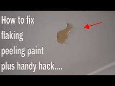 an apple logo with the words how to fix fake talking peeling paint plus handy hack