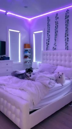 two dogs laying on a white bed in a room with purple lights and decorations around the headboard