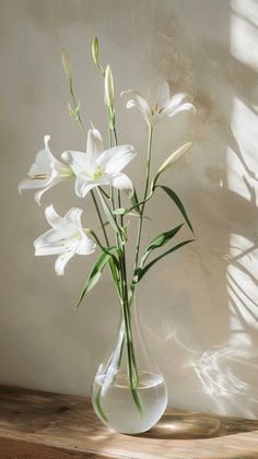 white flowers in a clear vase on a wooden shelf with sunlight coming through the window