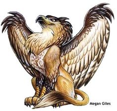 a drawing of an eagle sitting on top of a bird's leg with its wings spread