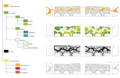 four diagrams showing the different sections of an outdoor space with trees and plants on them