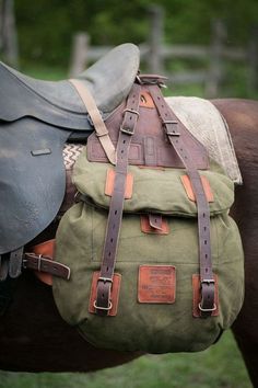 a saddled horse with the bridle on it's back