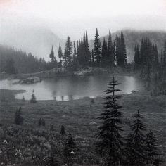 a lake surrounded by trees in the middle of a foggy field with snow on it