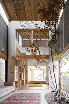 the inside of a house with a tree in the center and an area rug on the floor