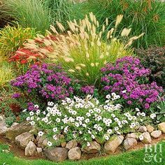 a garden filled with lots of purple and white flowers