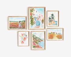 four framed pictures hanging on the wall next to each other with flowers and fruit in them