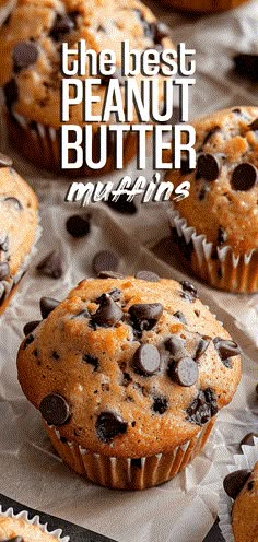 the best peanut butter muffins with chocolate chips on top