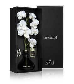 an open box with white flowers in it and the word,'the orchid '