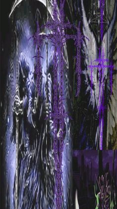 an artistic photo with purple and black colors