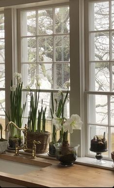 the kitchen counter is full of flowers and plants in baskets on it's windowsill