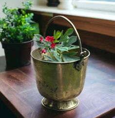 a potted plant sitting on top of a wooden table