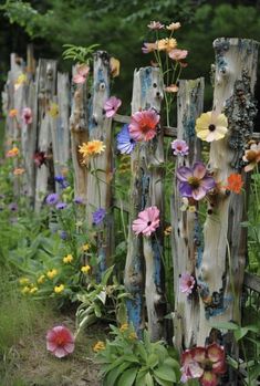 a wooden fence with flowers growing through it