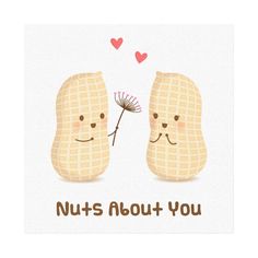 two peanuts holding a dandelion with the words nuts about you