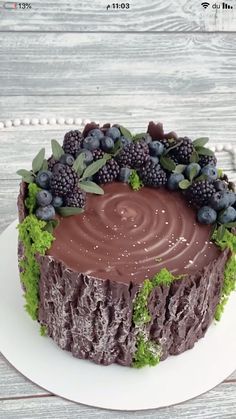 a cake with chocolate frosting and berries on top