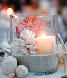 a candle that is sitting inside of a glass container with corals and starfish