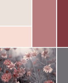 some pink and grey color palettes with flowers