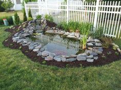 a small pond in the middle of a yard with rocks and grass around it, next to a white picket fence