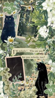 a collage of photos with cats and flowers on them, including an image of a black cat