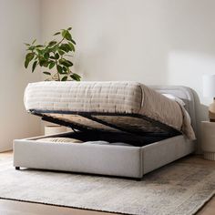 a bed with a mattress on top of it in a room next to a plant