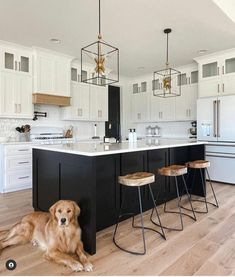 a dog laying on the floor in a kitchen