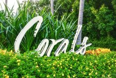 a sign that is in the middle of some bushes and flowers with trees in the background