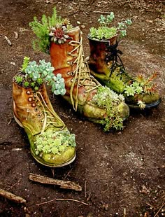 two boots with plants growing out of them are on the ground next to each other