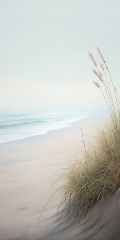 the grass is growing out of the sand on the beach