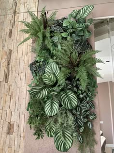 a green plant hanging on the side of a building