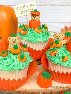 cupcakes decorated with green frosting and teddy bears on top, surrounded by pumpkins