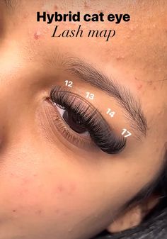 Hybrid Individual Lashes, Hybrids Lashes Cat Eye, Hybrid Eyelash Extensions Mapping, Hybrid Lash Cluster Map, Lashe Map Clusters, Cateye Wispy Hybrid Lash Extensions, J Curl Eyelash Extensions, Cat Eye Lash Map Clusters