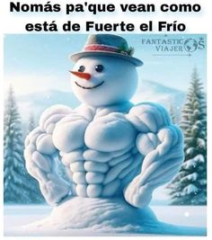 a snowman with his arms and chest in the shape of a torso, wearing a hat