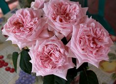 some pink flowers are in a vase on a table