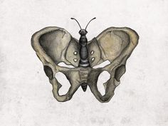 a drawing of a butterfly sitting on top of a white wall