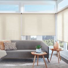 a living room with two couches and large windows covered in roman shades, along with a rug on the floor