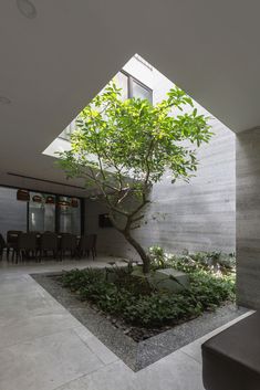 a tree in the middle of a room with tables and chairs on either side of it