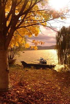 there is a boat that is sitting on the water by some trees and leaves in front of it