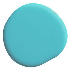 a close up of a blue round object on a white background