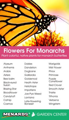 flowers for monarchs poster with butterflies on it