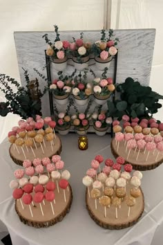 desserts are arranged on wooden slices and placed in front of a white tablecloth