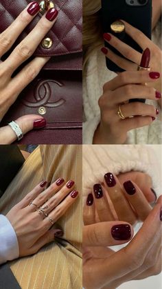 Discover 30+ Fall Nails You Can’t Get Around on Pinterest This Year! From nagel inspo to smink inspiration, these designs are perfect for the season. Embrace funky nails and chic nails that add flair to your autumn look. Elevate your style with classy acrylic nails and pair them with a stunning makijaż smokey eye for the ultimate fall vibe. Explore colourful nails and colorful nails that capture the spirit of the season, and try Thanksgiving nails with fall nail designs maple leaf for a festi... Short Fall Nails Burgundy, Dark Feminine Nails Short, Dark Dip Powder Nails Colors, Red Wine Manicure, Burgundy And Red Nails, Pre Fall Nail Colors, Short Red Fall Nails, Short Classy Red Nails, Russian Manicure Design Fall