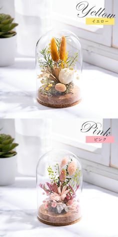 three different views of the inside of a glass dome with flowers and plants in it