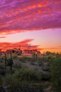 the sky is pink and purple as the sun sets in the distance behind some cactus bushes