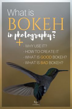 a hummingbird flying with the words what is bokeh in photography? and why use it?