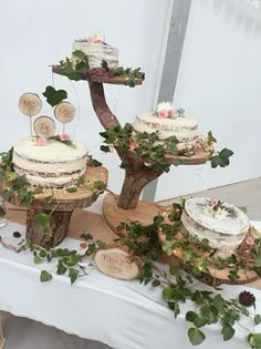 a table topped with three cakes covered in white frosted icing and greenery