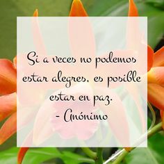 an orange flower with a quote on it that says,'si vecer no podlemos est algero, es poble estar en pag