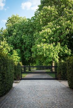 an iron gate is surrounded by hedges and trees