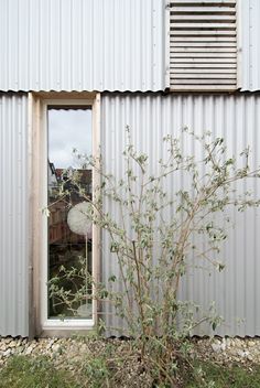 a small tree in front of a metal building