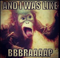 an image of a monkey with the caption and i was like bbbrawap