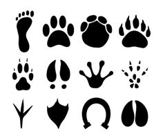 black and white silhouettes of different animal footprints stock photo, images and royalty photos