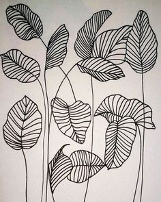 a black and white drawing of three leaves